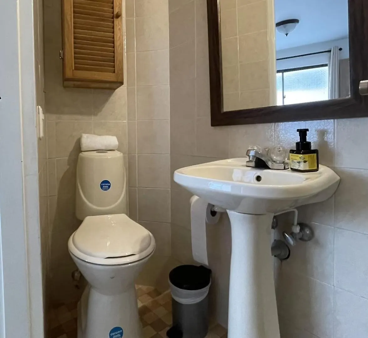 Apartment Spacious 3 Bedroom House In Laureles Medellin Colombia