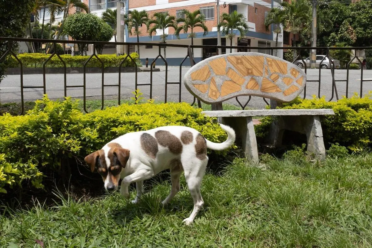 Apartment Spacious 3 Bedroom House In Laureles Medellin Colombia